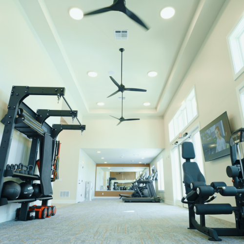 fitness center with thigh machine ,TRX equipment and cardio machine in the back