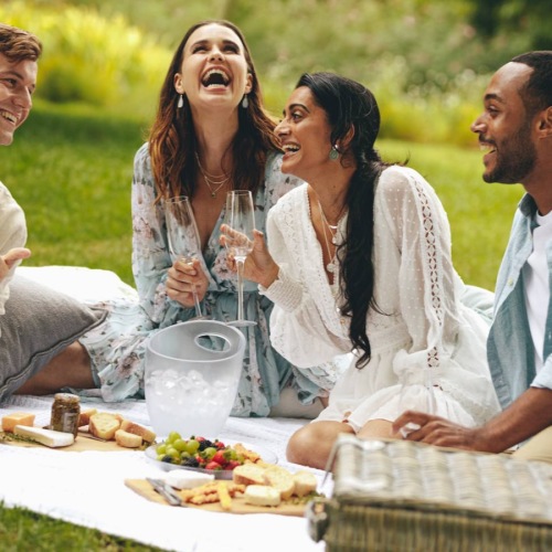 a group of people having a picnic